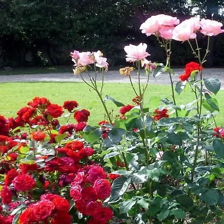 Couette-café Le Logis De 3*